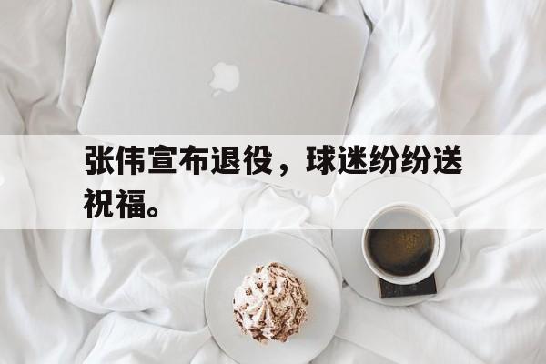 开云手机版登录入口-张伟宣布退役，球迷纷纷送祝福。